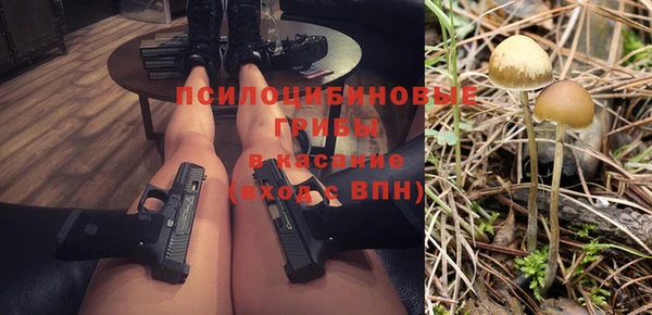 герыч Алексин