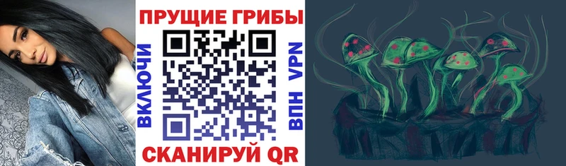 закладка  Сельцо  Псилоцибиновые грибы Magic Shrooms 